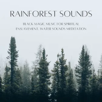 Rainforest Sounds: Black Magic Music for Spiritual Enslavement, Water Sounds Meditation by Emmanuel Forest