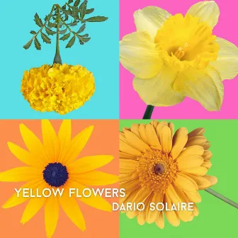 Yellow Flowers by Dario Solaire