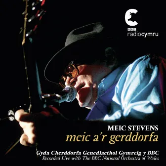 Meic A'R Gerddorfa / Meic And The Orchestra by Meic Stevens