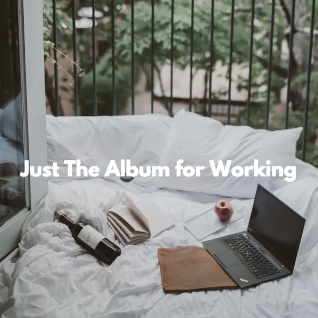 Just The Album for Working