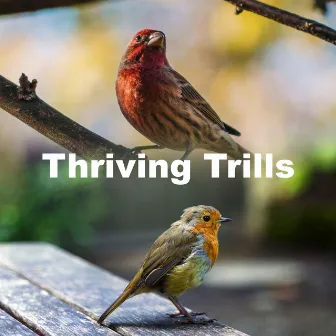 Thriving Trills by Birds on Television