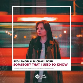 Somebody That I Used To Know by Michael Ford