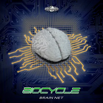 Brain Net by Biocycle