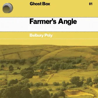 Farmer's Angle (2022 Re-Issue) by Belbury Poly