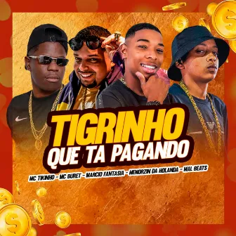 Tigrinho Que Tá Pagando by Márcio Fantasia