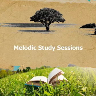 Melodic Study Sessions by Gentle Study Music