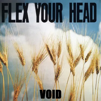 Flex Your Head by Void