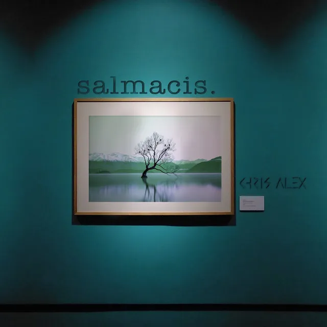 Salmacis