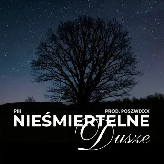 Nieśmiertelne Dusze by Poszwixxx