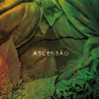 Ascensão by Serena Assumpção