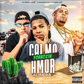 Forrozin Calma Amor, Calma Bb by MC MENOR KAUAN