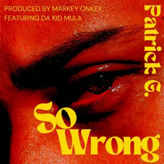 So Wrong by Patrick G.