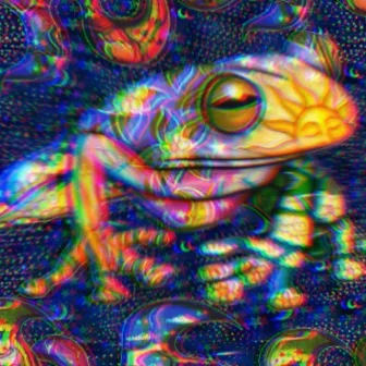 DMT Frog by Old Sport