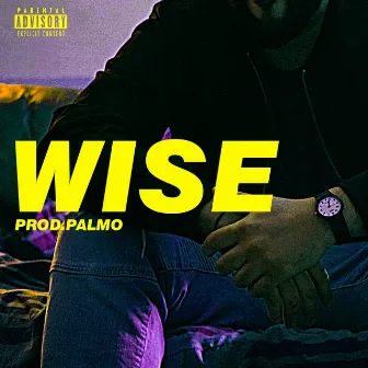 Wise by Palmo