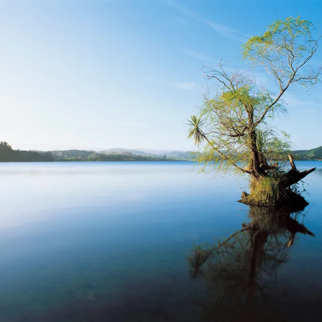 Serene Streams Reflective Harmony