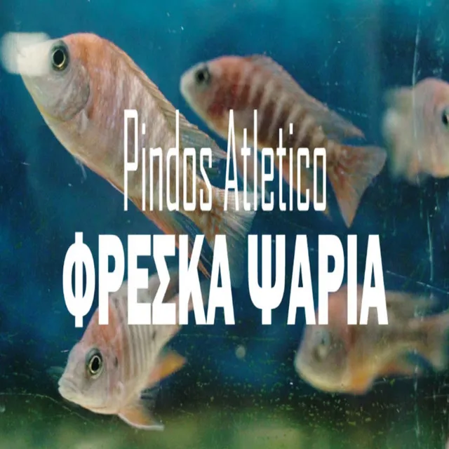 Φρεσκα Ψαρια