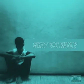 What You Want? by Boi Cali