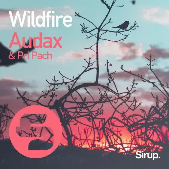 Wildfire by Pri Pach