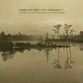 Fly Through It by Mark Lettieri