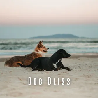 Dog Bliss: Relaxing Oceanic Meditation Melodies by Spa Music For Dogs