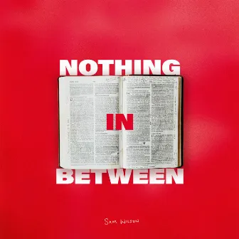 Nothing‎ in‎ between by Sam Wilson