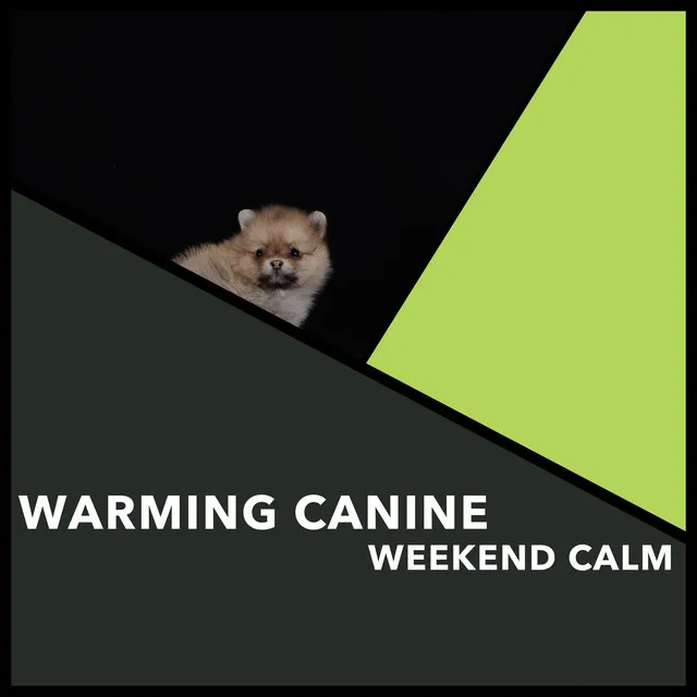 Warming Canine Weekend Calm