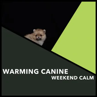 Warming Canine Weekend Calm by Zen Dog