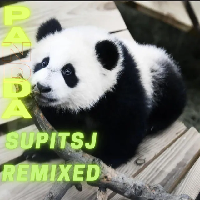 Panda - SupItsJ Remix