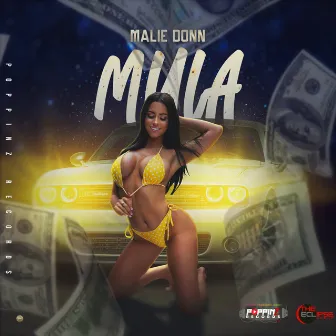 Mula by Eclipse