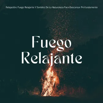 Relajación: Fuego Relajante Y Sonidos De La Naturaleza Para Descansar Profundamente by Sonidos cálidos y fríos de fuego