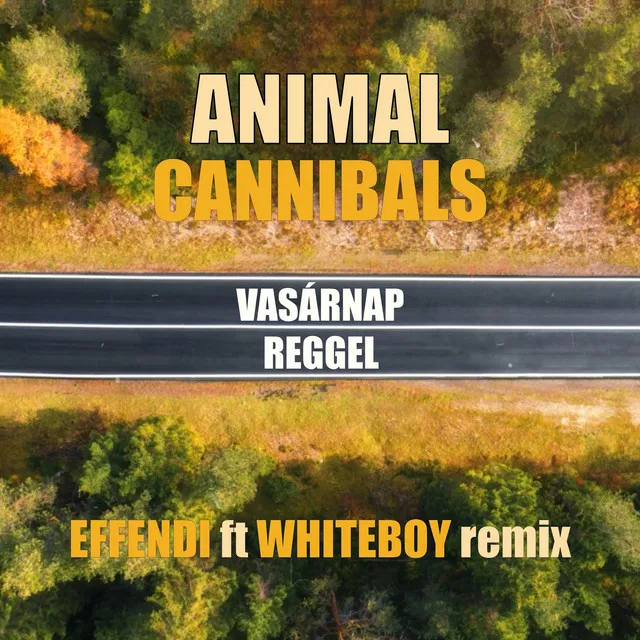 Vasárnap reggel - Effendi ft Whiteboy Remix