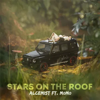 Stars On The Roof (feat. MOMO) by Alcemist