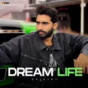 Dream Life by Jasmeen Akhtar