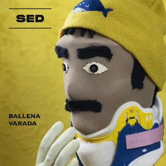 Ballena varada by SED