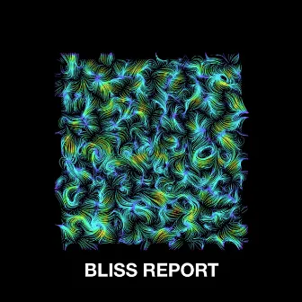 Pivotal Orbit by Bliss Report