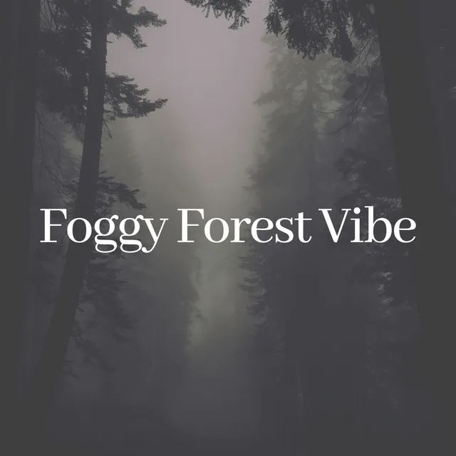 Foggy Forest Vibe, Pt. 3