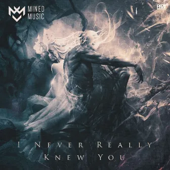 I Never Really Knew You by Mined Music