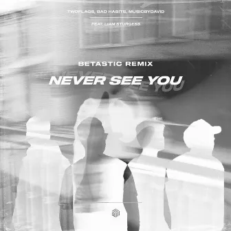 Never See You (BETASTIC Remix) by Bad Habits