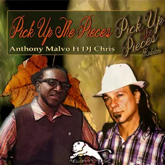 Pick Up the Pieces (feat. DJ Chris) by Anthony Malvo