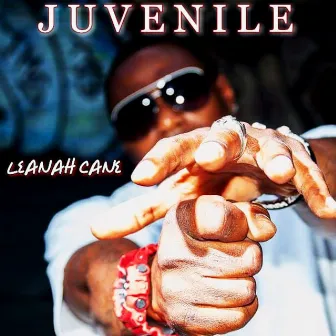 Juvenile by LEANAH CANE