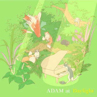 Daylight by ADAM at