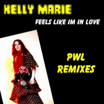 Feels Like I'm in Love (PWL Remixes) by Kelly Marie