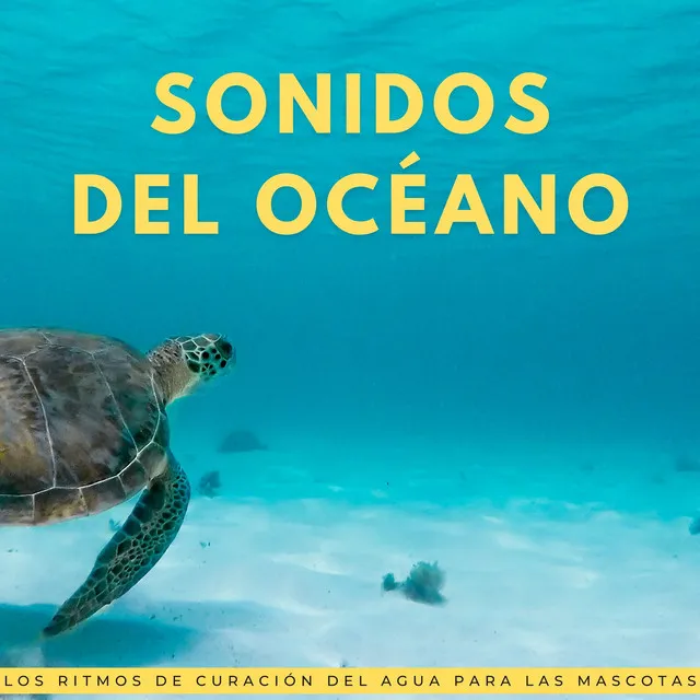 La Relajación Oceánica