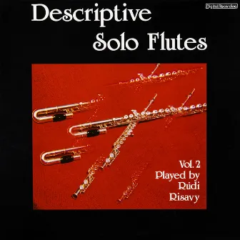 Descriptive Solo Flutes, Vol. 2 by Rudi Risavy