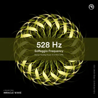 528 Hz Repair And Heal DNA by Solfeggio Frequencies Healing Music