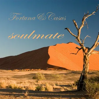 Soulmate by Fortuna & Casus