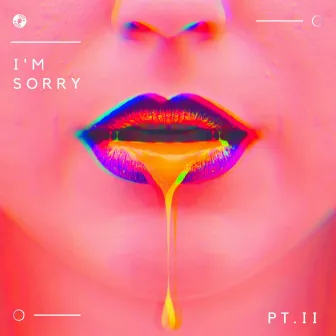 I'm Sorry, Pt. II by Palmiyo