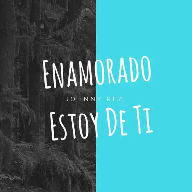 Enamorado Estoy de Ti (Shape of You) - Spanish Version