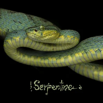 Serpentine by Kiss Nuka