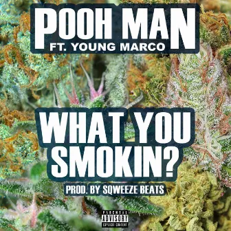 What You Smokin? by Pooh-Man